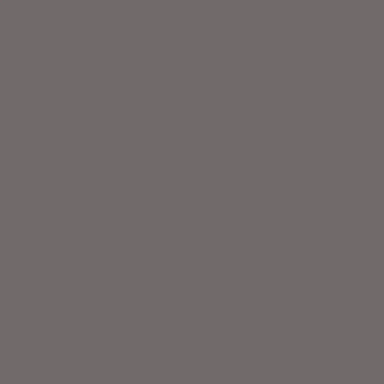 Extreme Temperature Paint System - Image 3