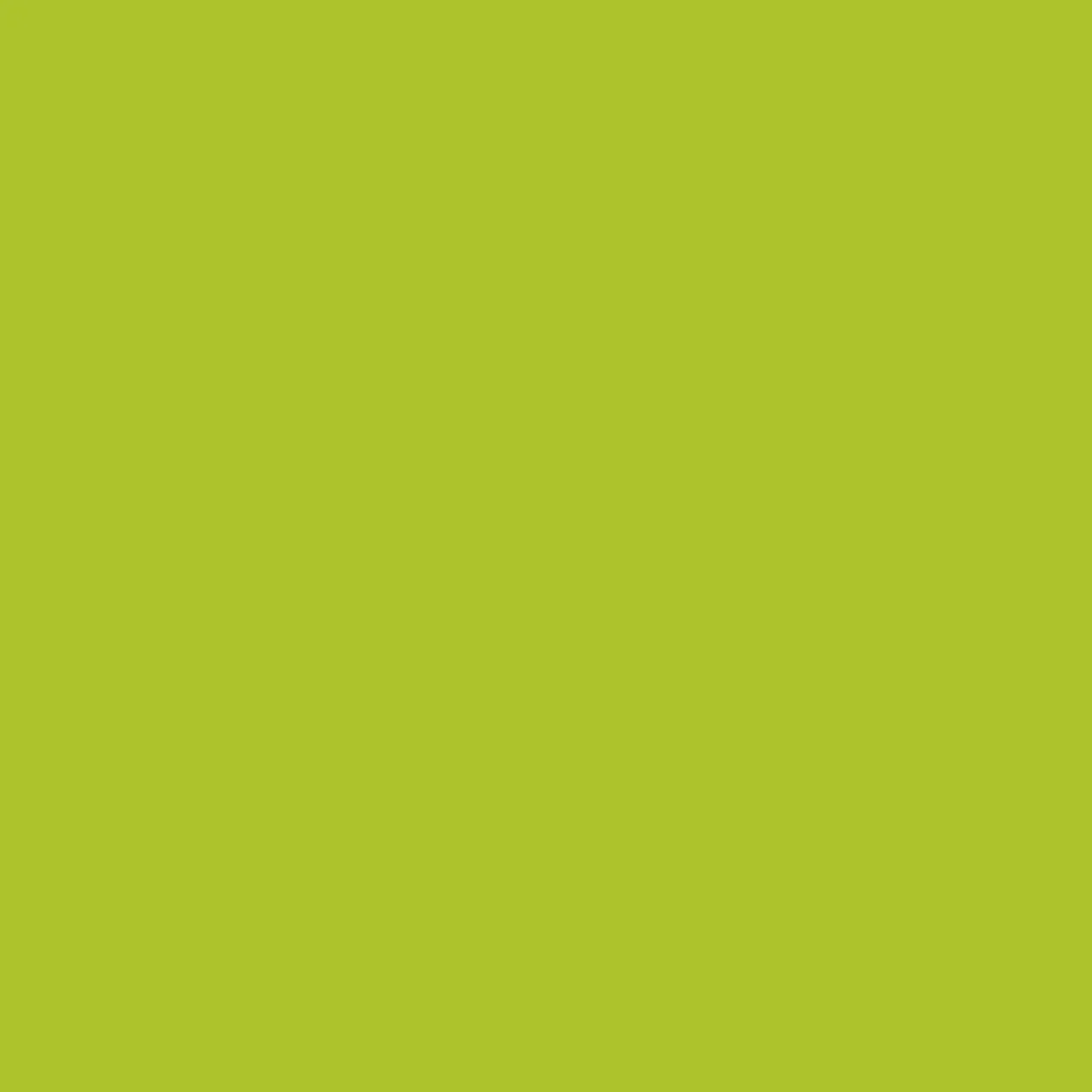Caliper Paint - Image 14